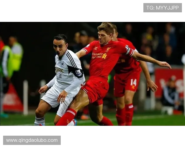 利姓足球明星盘点 从利物浦到世界足坛的闪耀人物