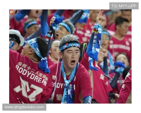 足球球迷冲入赛场抱住心仪球星瞬间引发全场沸腾和热议